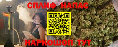 гашик Владикавказ