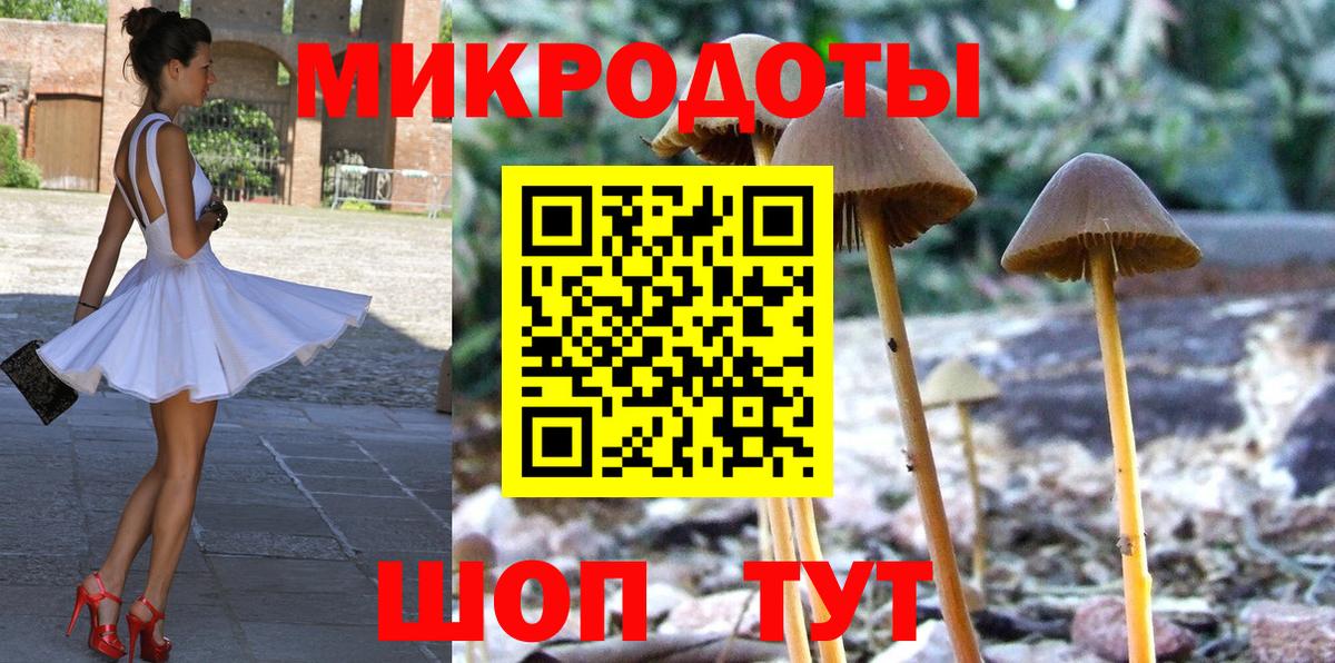 Псилоцибиновые грибы Psilocybine cubensis  Псилоцибиновые грибы прущие грибы  Владимир  Вход с VPN 